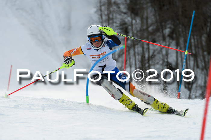 DSV Dt. Schülercup U14 SL 20.01.2019 Slalom