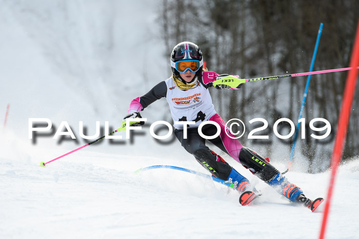 DSV Dt. Schülercup U14 SL 20.01.2019 Slalom