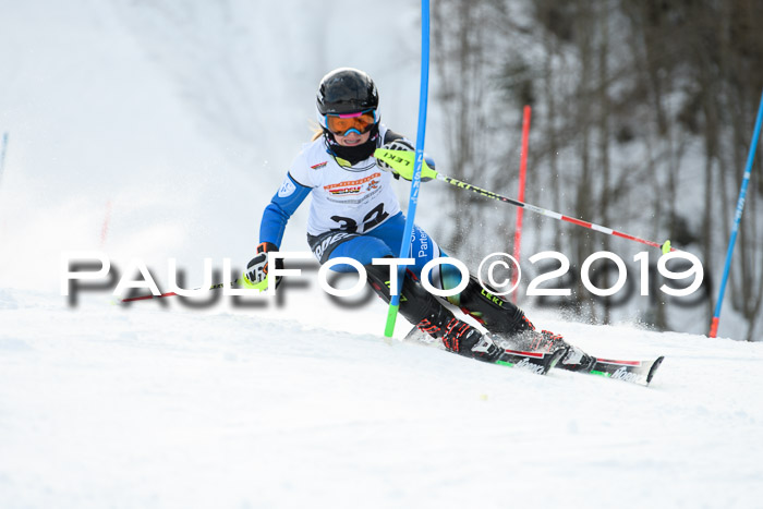 DSV Dt. Schülercup U14 SL 20.01.2019 Slalom