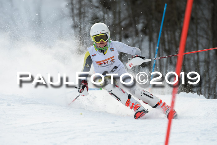 DSV Dt. Schülercup U14 SL 20.01.2019 Slalom