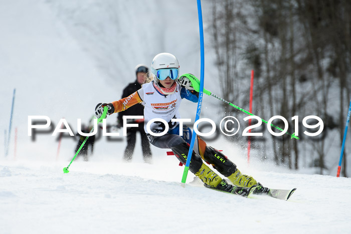 DSV Dt. Schülercup U14 SL 20.01.2019 Slalom