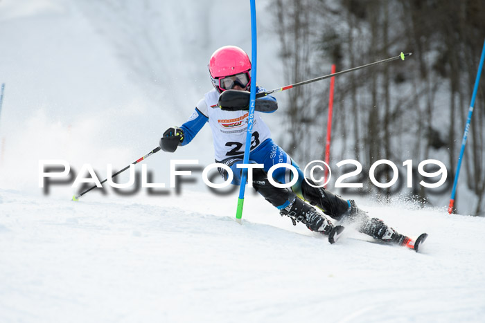 DSV Dt. Schülercup U14 SL 20.01.2019 Slalom