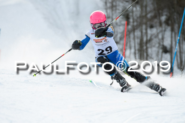 DSV Dt. Schülercup U14 SL 20.01.2019 Slalom