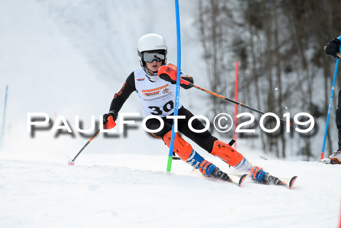 DSV Dt. Schülercup U14 SL 20.01.2019 Slalom