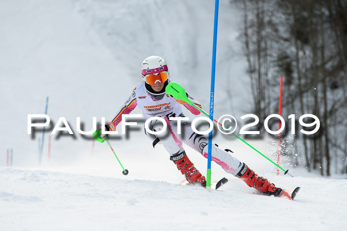 DSV Dt. Schülercup U14 SL 20.01.2019 Slalom