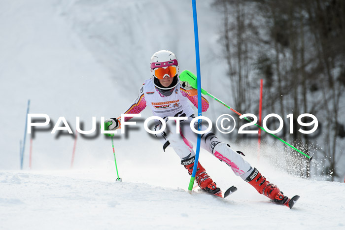 DSV Dt. Schülercup U14 SL 20.01.2019 Slalom