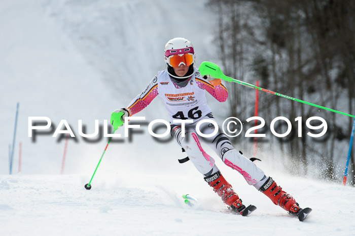 DSV Dt. Schülercup U14 SL 20.01.2019 Slalom