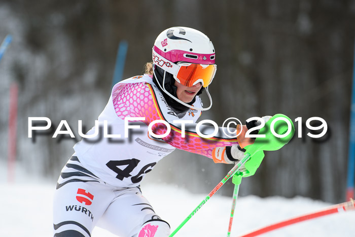 DSV Dt. Schülercup U14 SL 20.01.2019 Slalom