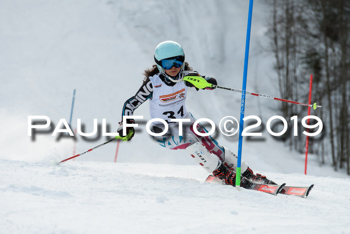 DSV Dt. Schülercup U14 SL 20.01.2019 Slalom