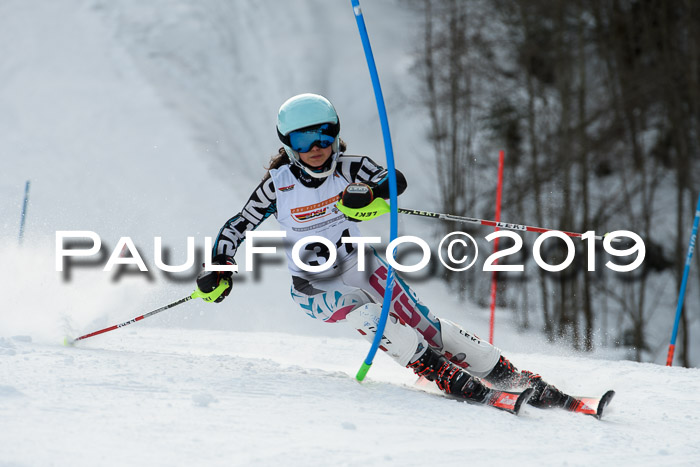 DSV Dt. Schülercup U14 SL 20.01.2019 Slalom