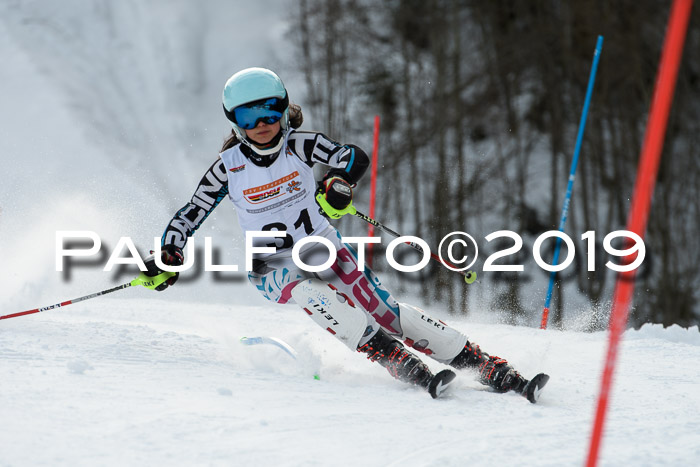 DSV Dt. Schülercup U14 SL 20.01.2019 Slalom