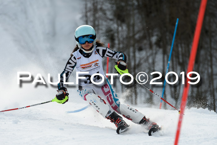 DSV Dt. Schülercup U14 SL 20.01.2019 Slalom