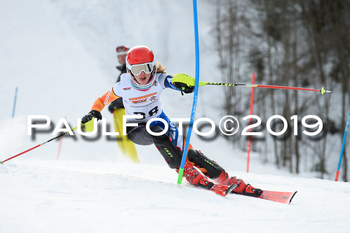 DSV Dt. Schülercup U14 SL 20.01.2019 Slalom