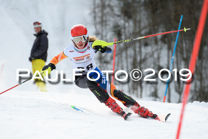 DSV Dt. Schülercup U14 SL 20.01.2019 Slalom