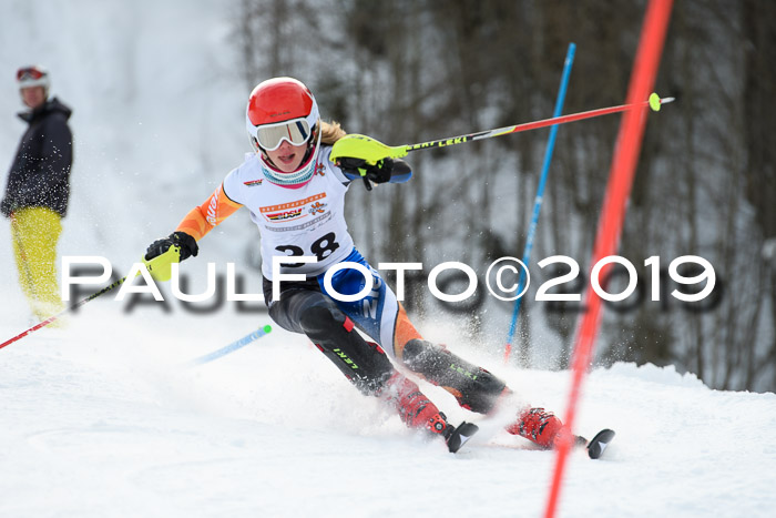 DSV Dt. Schülercup U14 SL 20.01.2019 Slalom