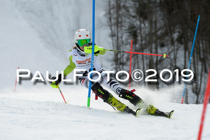 DSV Dt. Schülercup U14 SL 20.01.2019 Slalom