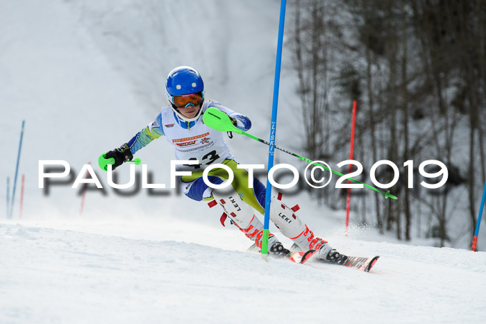 DSV Dt. Schülercup U14 SL 20.01.2019 Slalom