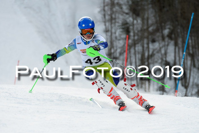 DSV Dt. Schülercup U14 SL 20.01.2019 Slalom