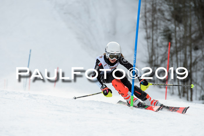 DSV Dt. Schülercup U14 SL 20.01.2019 Slalom