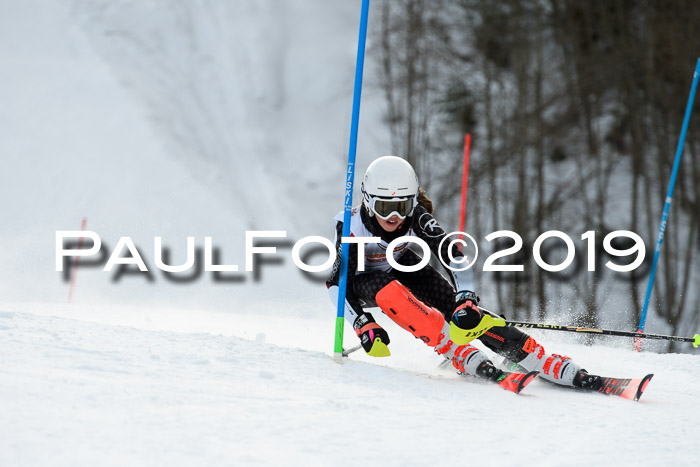 DSV Dt. Schülercup U14 SL 20.01.2019 Slalom