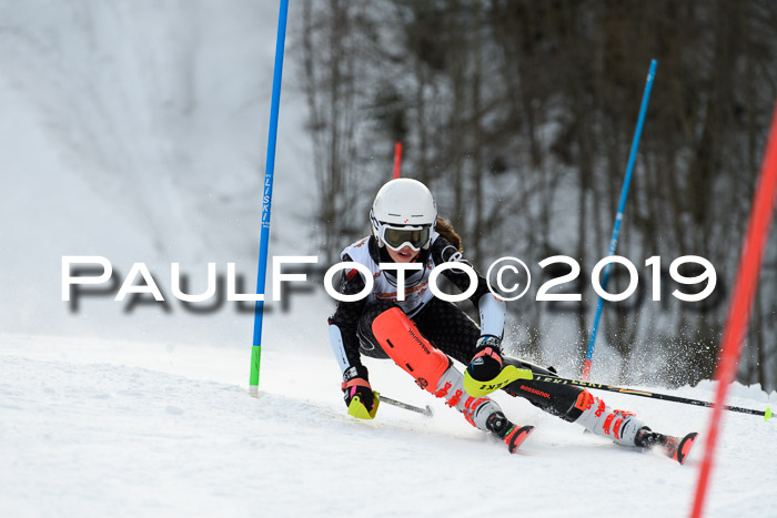 DSV Dt. Schülercup U14 SL 20.01.2019 Slalom