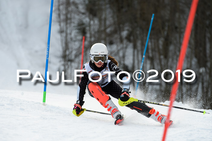 DSV Dt. Schülercup U14 SL 20.01.2019 Slalom