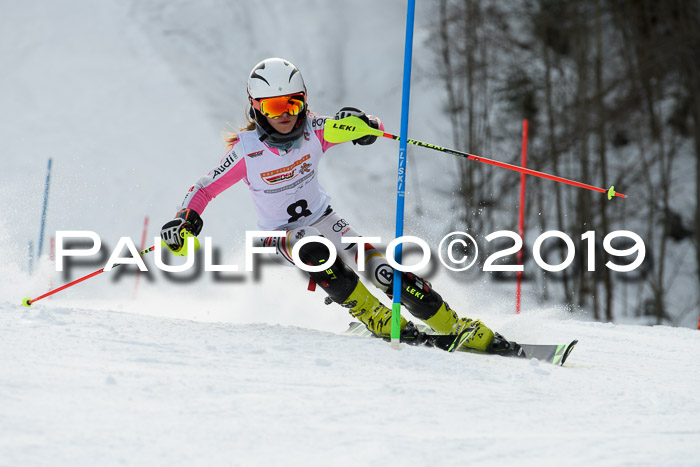 DSV Dt. Schülercup U14 SL 20.01.2019 Slalom