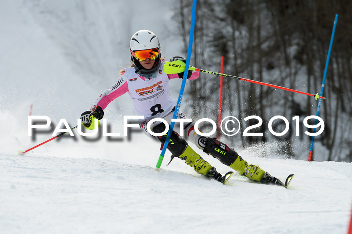 DSV Dt. Schülercup U14 SL 20.01.2019 Slalom