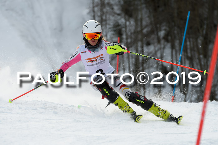 DSV Dt. Schülercup U14 SL 20.01.2019 Slalom