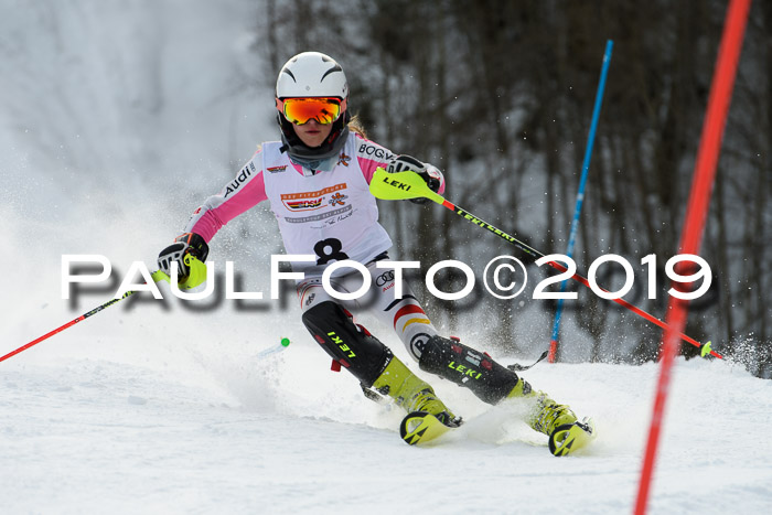 DSV Dt. Schülercup U14 SL 20.01.2019 Slalom