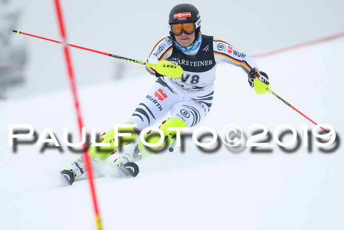 Int. FIS Rennen + NJC  AC Herren, FIS SG, Götschen, 25.01.2019