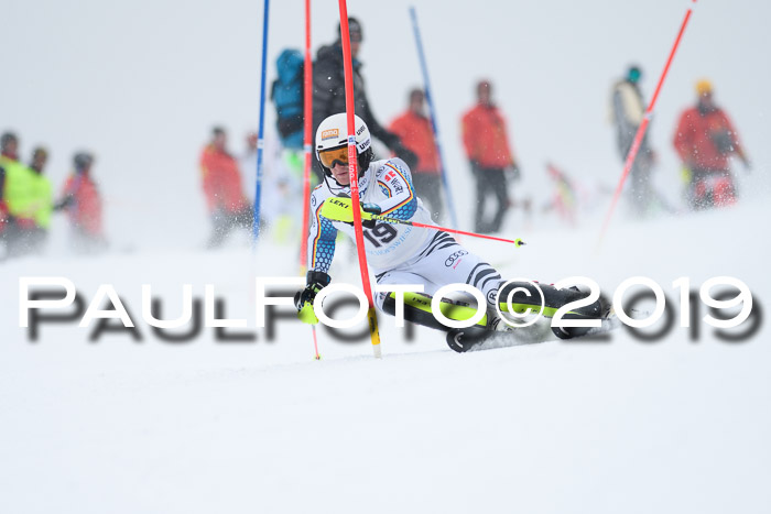 Int. FIS Rennen + NJC  AC Herren, FIS SG, Götschen, 25.01.2019