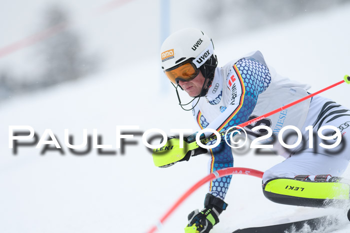 Int. FIS Rennen + NJC  AC Herren, FIS SG, Götschen, 25.01.2019