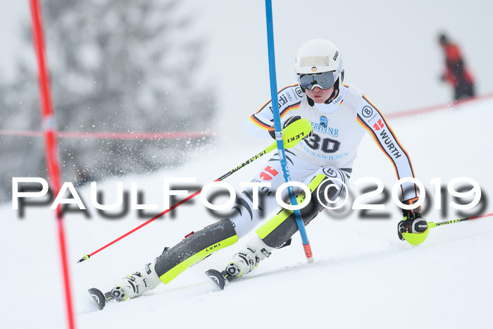 Int. FIS Rennen + NJC  AC Herren, FIS SG, Götschen, 25.01.2019