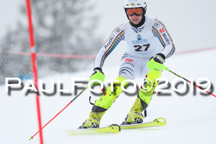 Int. FIS Rennen + NJC  AC Herren, FIS SG, Götschen, 25.01.2019