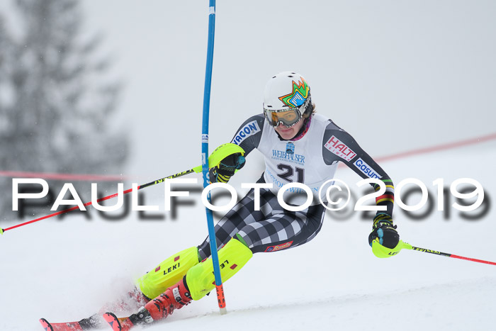 Int. FIS Rennen + NJC  AC Herren, FIS SG, Götschen, 25.01.2019