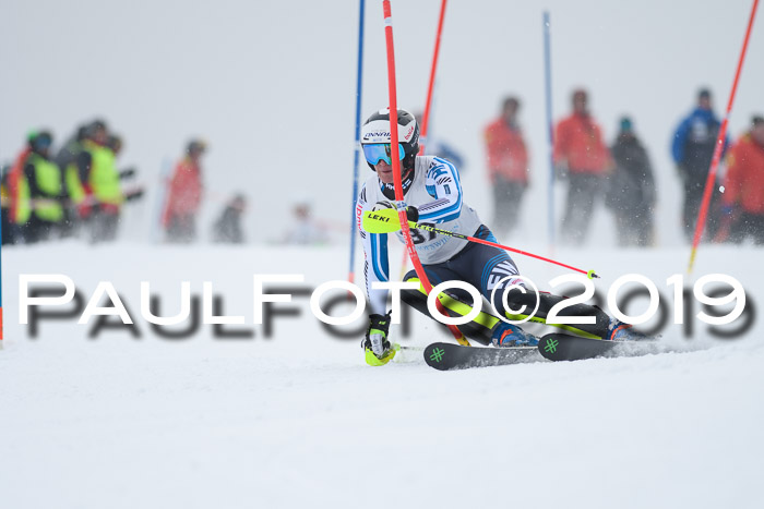 Int. FIS Rennen + NJC  AC Herren, FIS SG, Götschen, 25.01.2019
