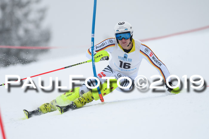 Int. FIS Rennen + NJC  AC Herren, FIS SG, Götschen, 25.01.2019