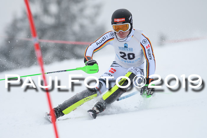 Int. FIS Rennen + NJC  AC Herren, FIS SG, Götschen, 25.01.2019