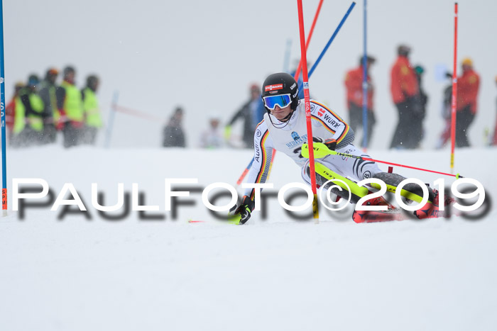 Int. FIS Rennen + NJC  AC Herren, FIS SG, Götschen, 25.01.2019