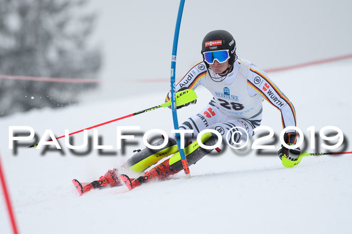 Int. FIS Rennen + NJC  AC Herren, FIS SG, Götschen, 25.01.2019