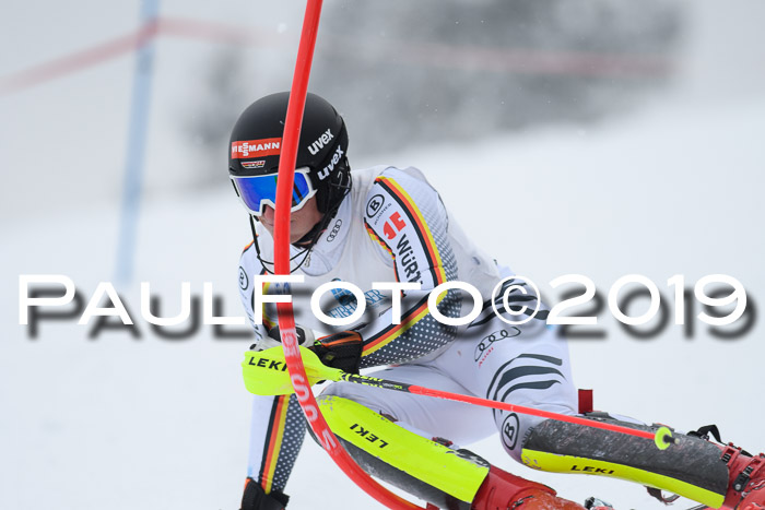 Int. FIS Rennen + NJC  AC Herren, FIS SG, Götschen, 25.01.2019