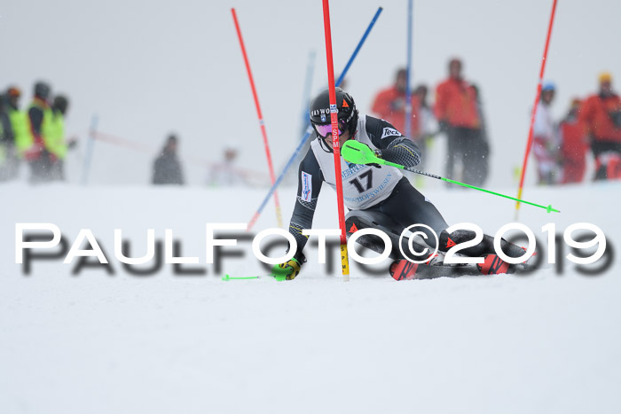 Int. FIS Rennen + NJC  AC Herren, FIS SG, Götschen, 25.01.2019