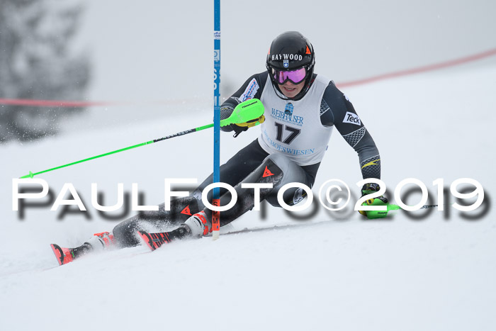 Int. FIS Rennen + NJC  AC Herren, FIS SG, Götschen, 25.01.2019