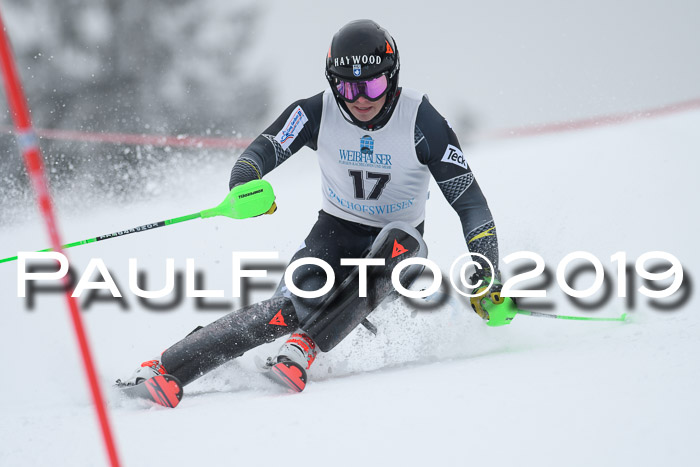 Int. FIS Rennen + NJC  AC Herren, FIS SG, Götschen, 25.01.2019