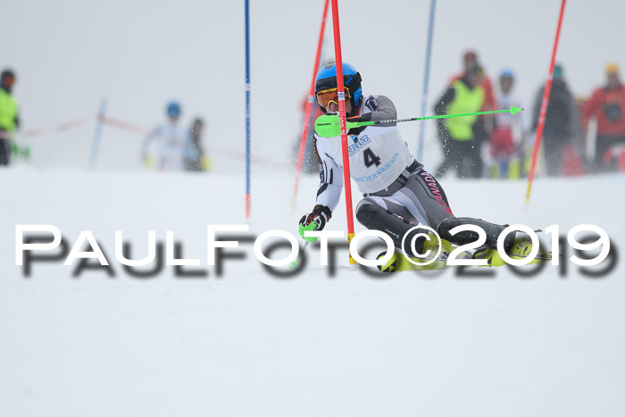 Int. FIS Rennen + NJC  AC Herren, FIS SG, Götschen, 25.01.2019