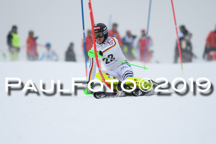 Int. FIS Rennen + NJC  AC Herren, FIS SG, Götschen, 25.01.2019