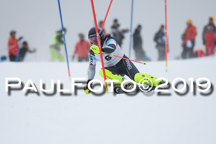 Int. FIS Rennen + NJC  AC Herren, FIS SG, Götschen, 25.01.2019