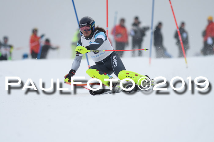 Int. FIS Rennen + NJC  AC Herren, FIS SG, Götschen, 25.01.2019