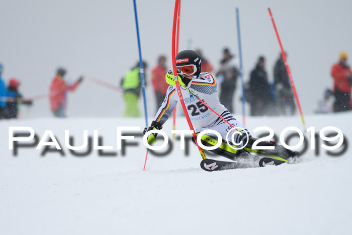 Int. FIS Rennen + NJC  AC Herren, FIS SG, Götschen, 25.01.2019